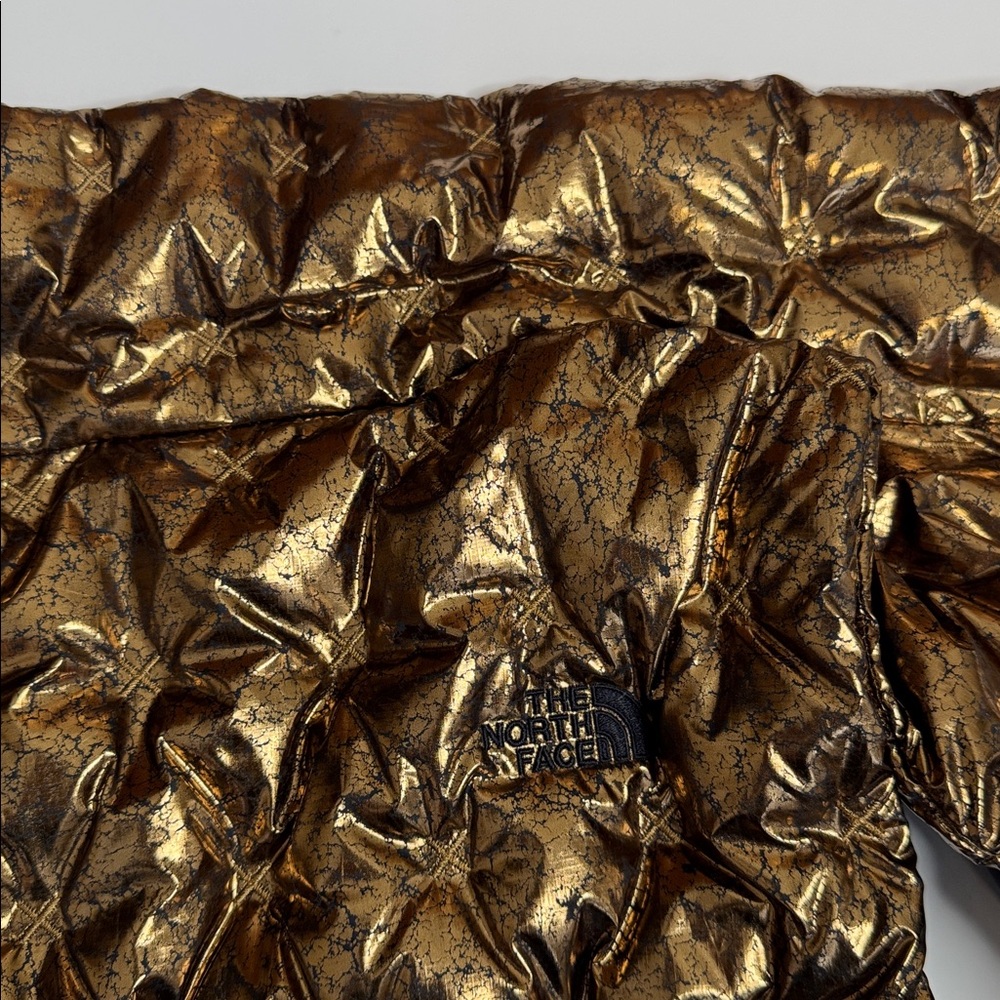 The North Face Women's Shiny Gold Holladown vest - Picture 13 of 13